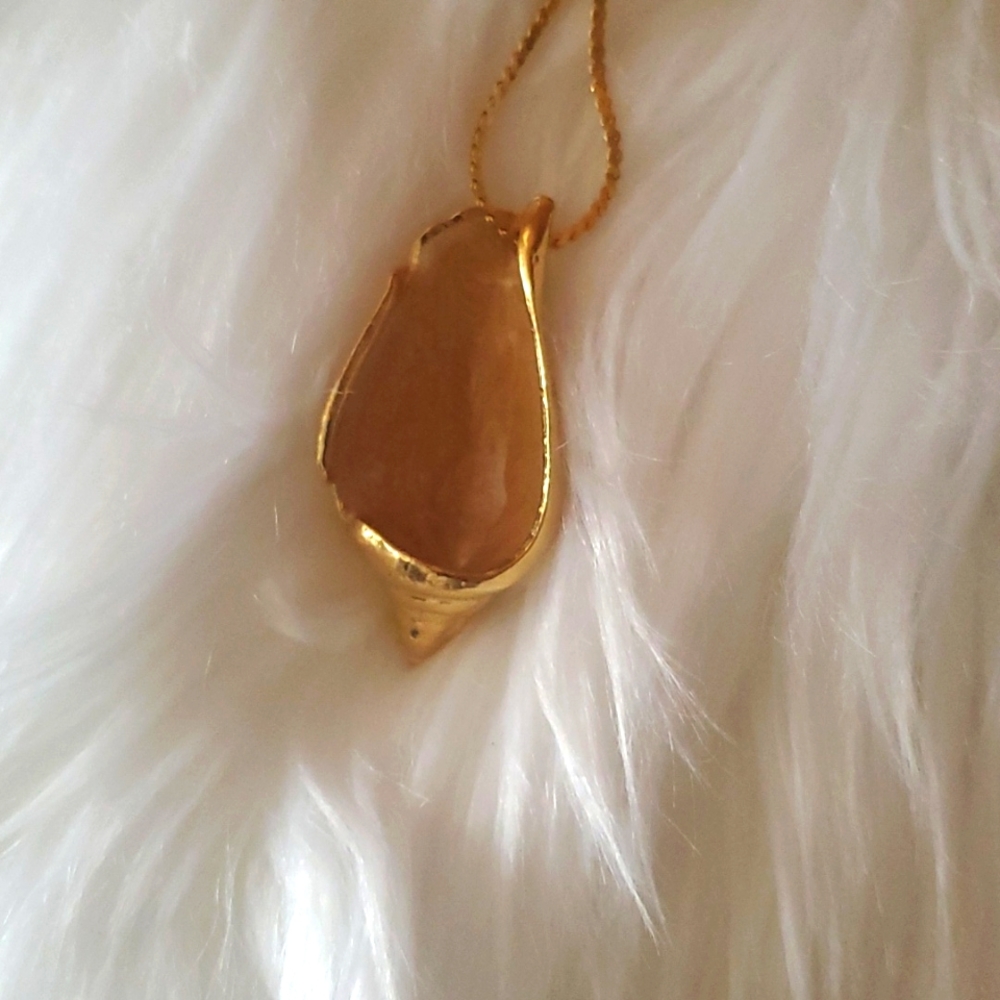 Seashell - Picture 3 of 3